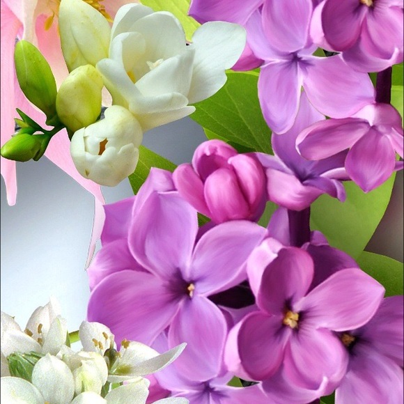wildflowers922